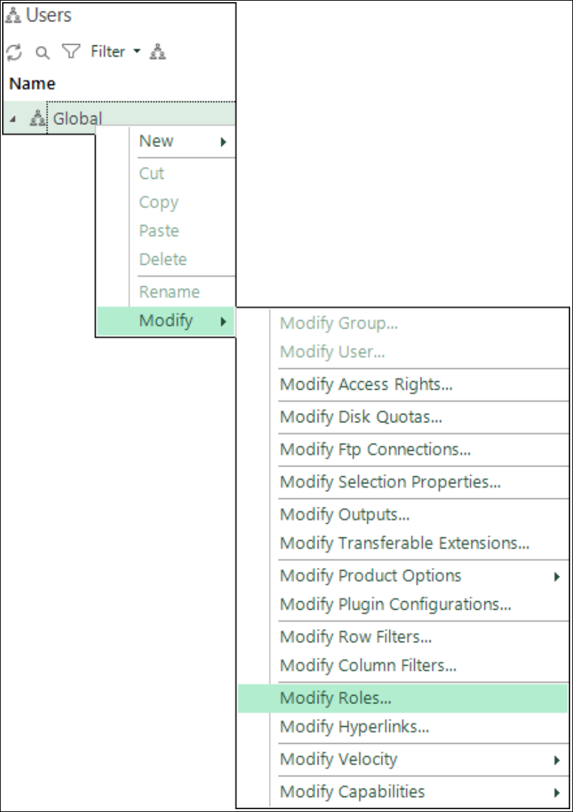 Modify Roles Modify Roles option in FastStats User Explorer