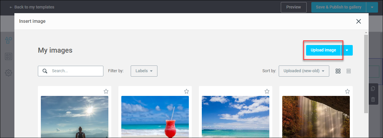 Upload an Image