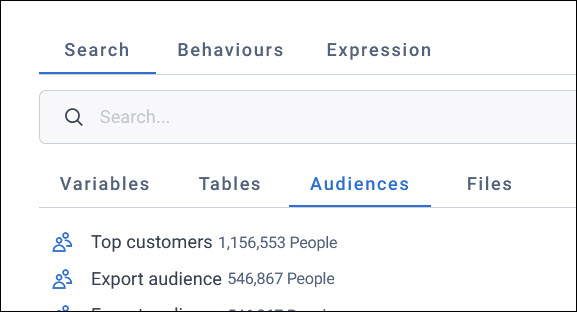 Audiences tab The Audiences tab in the data picker, listing audiences with their record counts, such as Top customers with 1,156,553 People