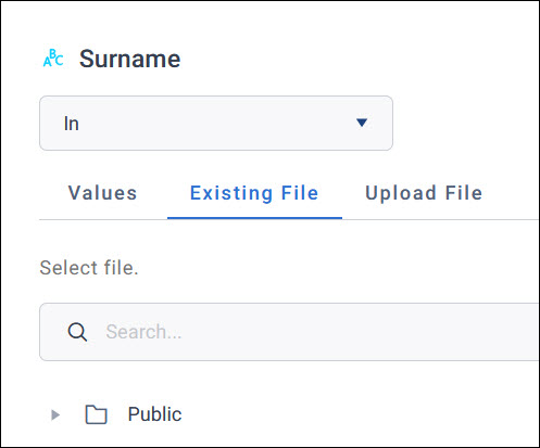 Existing File tab The Existing File tab of a Surname filter, with a search box and the Public folder