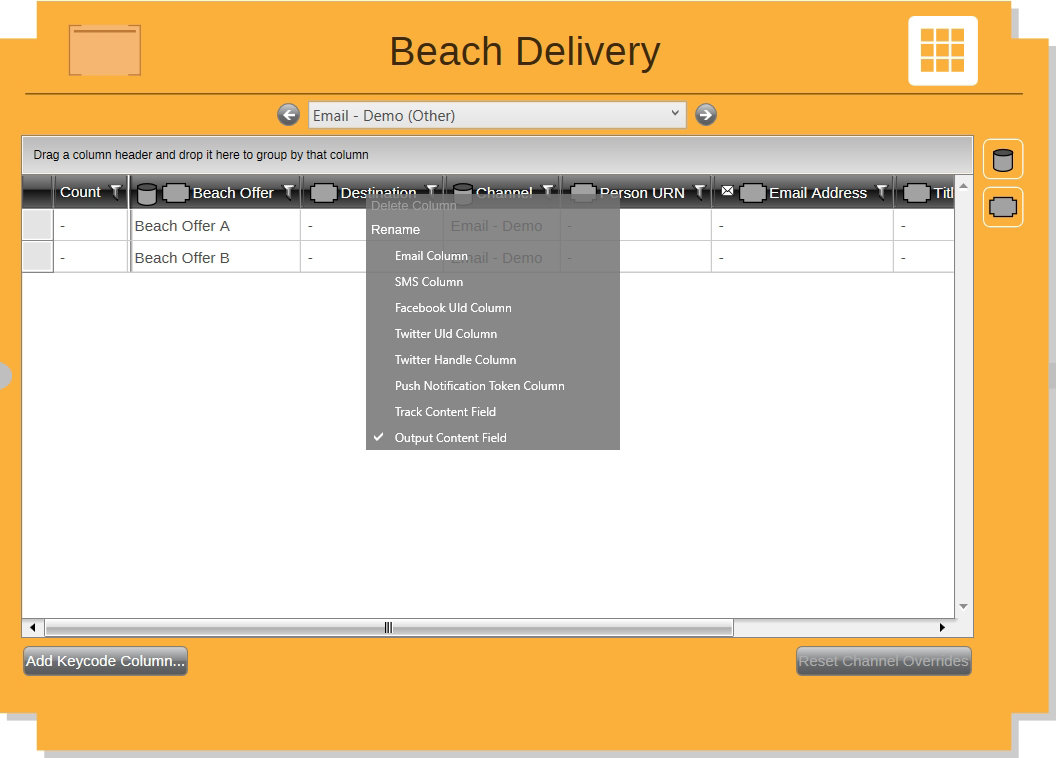 Output Grid View Column Options