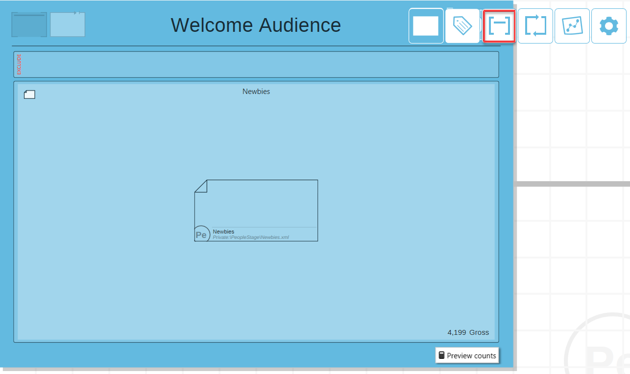 Audience Constraints View