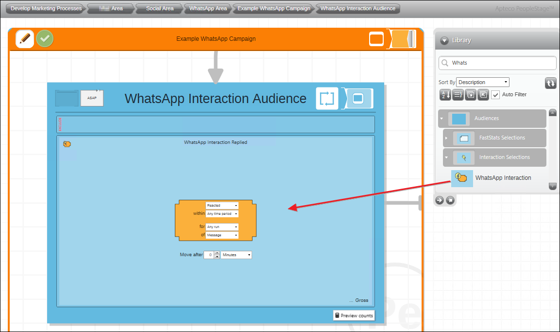 WhatsApp Interaction Audience