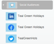 Social Audiences