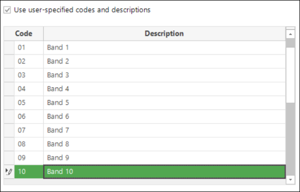 User specified codes and descriptions
